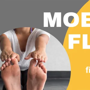 Mobility Flow